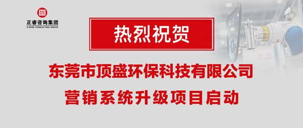 東莞市頂盛環(huán)?？萍加邢薰緺I銷系統(tǒng)升級項目啟動