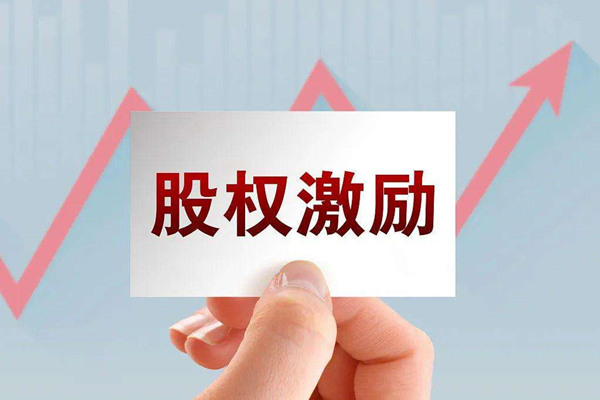 非上市公司為什么要實施股權(quán)激勵？