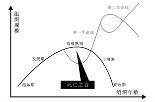 組織的生命周期曲線(xiàn)