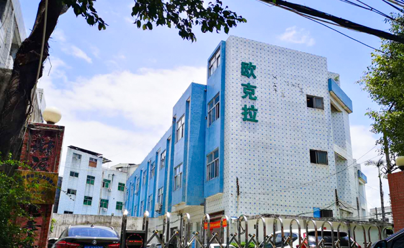 2021年東莞市歐克拉電子科技有限公司全面升級管理項目圓滿成功！