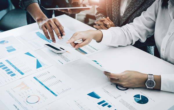 預(yù)算分析咨詢：提供分析工具與策略，幫助企業(yè)發(fā)現(xiàn)問題