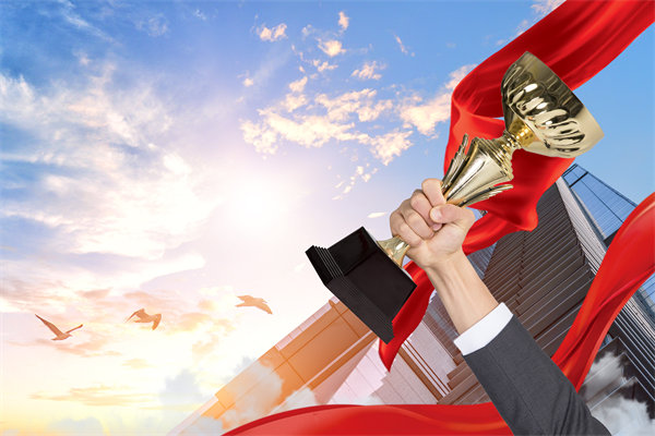 如何確保戰(zhàn)略規(guī)劃與企業(yè)文化及價(jià)值觀相契合？