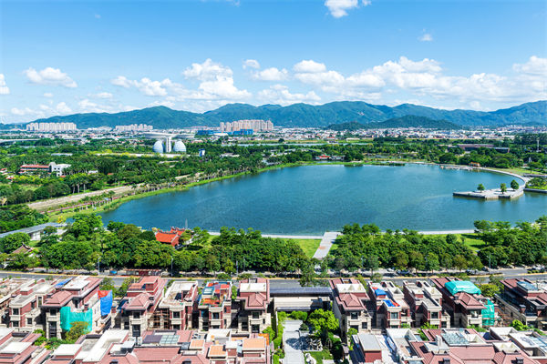 漳州戰(zhàn)略咨詢公司如何為企業(yè)定制長遠發(fā)展藍圖？