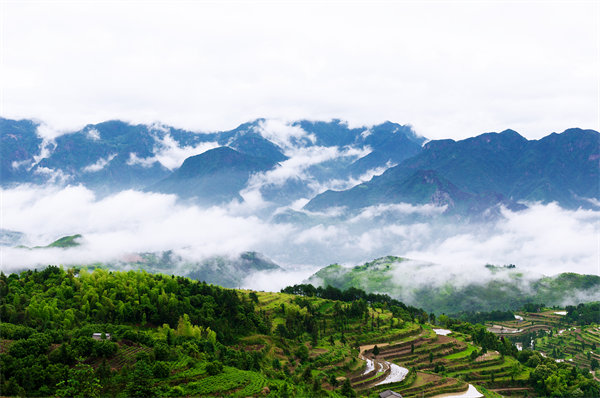 溫州供應(yīng)鏈咨詢公司如何優(yōu)化企業(yè)供應(yīng)鏈流程？
