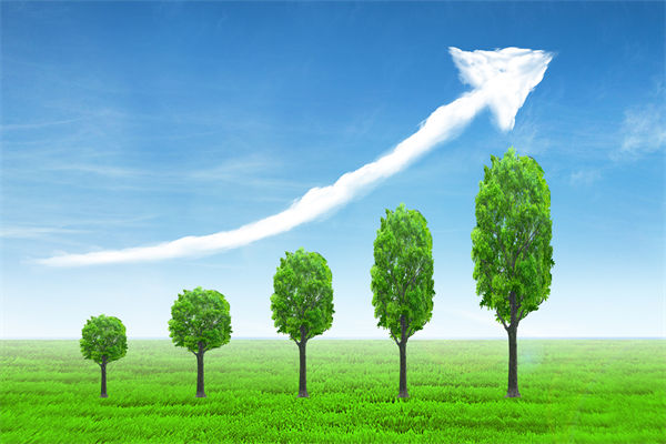 植樹就是植未來，對企業(yè)的戰(zhàn)略規(guī)劃有哪些啟示？