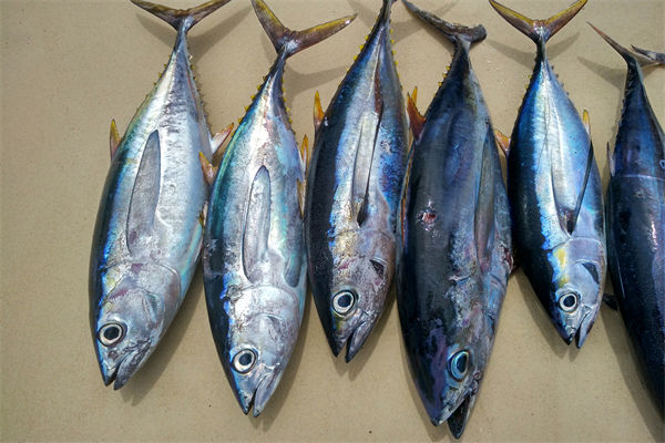 商務(wù)部：將幫助外貿(mào)企業(yè)擴(kuò)寬內(nèi)銷渠道，政策解讀！