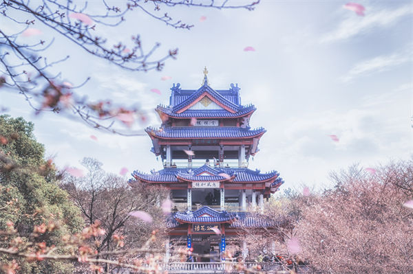 供應(yīng)鏈成本居高不下，無(wú)錫供應(yīng)鏈咨詢(xún)公司如何精準(zhǔn)砍出利潤(rùn)空間？