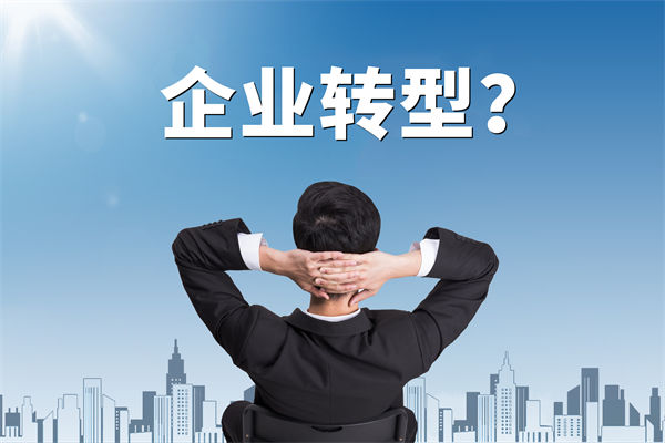 企業(yè)轉(zhuǎn)型無方向，數(shù)智化咨詢公司能否指引明路？