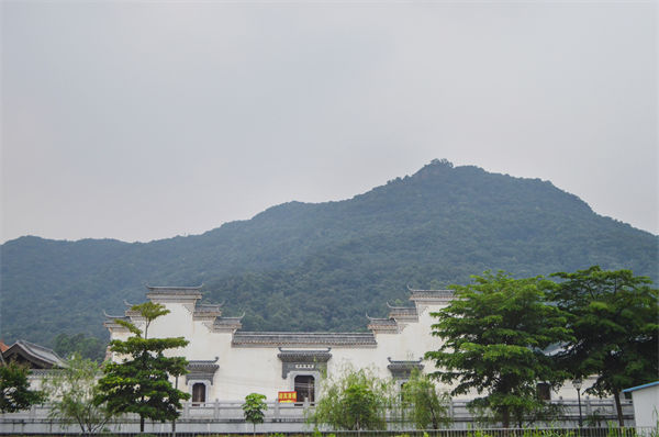 子公司各自為戰(zhàn)內(nèi)耗大，佛山集團(tuán)管控咨詢公司有何整合之道？