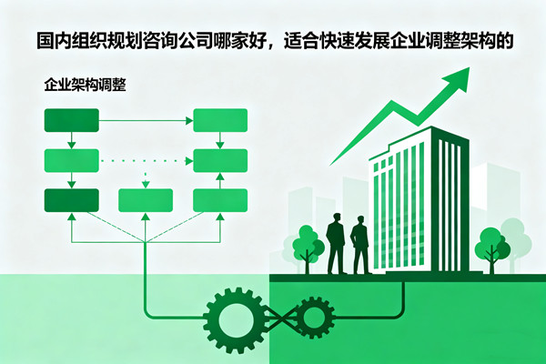 國內組織規(guī)劃咨詢公司哪家好，適合快速發(fā)展企業(yè)調整架構的