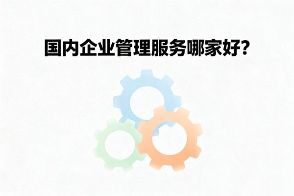 國內(nèi)企業(yè)管理服務(wù)哪家好？