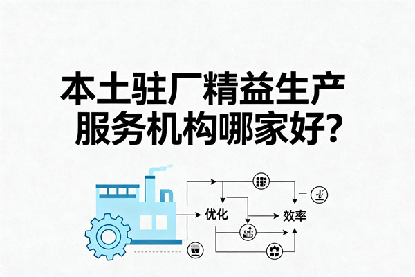 本土駐廠精益生產(chǎn)服務(wù)機(jī)構(gòu)哪家好？