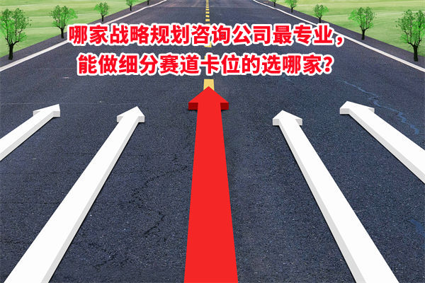 哪家戰(zhàn)略規(guī)劃咨詢公司最專業(yè)，能做細分賽道卡位的選哪家？